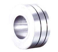 Stainless Steel Strips